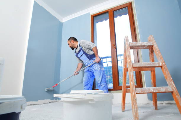 Best Crawl Space Mold Remediation  in Bellerose Terrace, NY