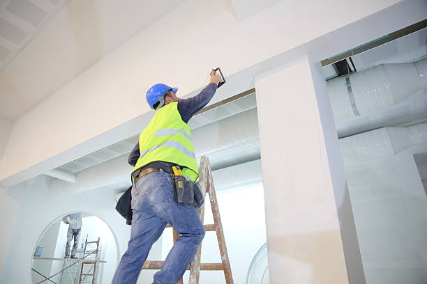 Best Attic Mold Removal  in Bellerose Terrace, NY