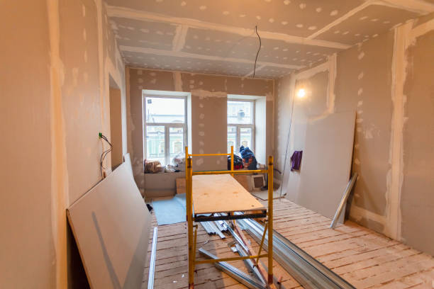 Best Environmental Consulting for Mold Prevention  in Bellerose Terrace, NY